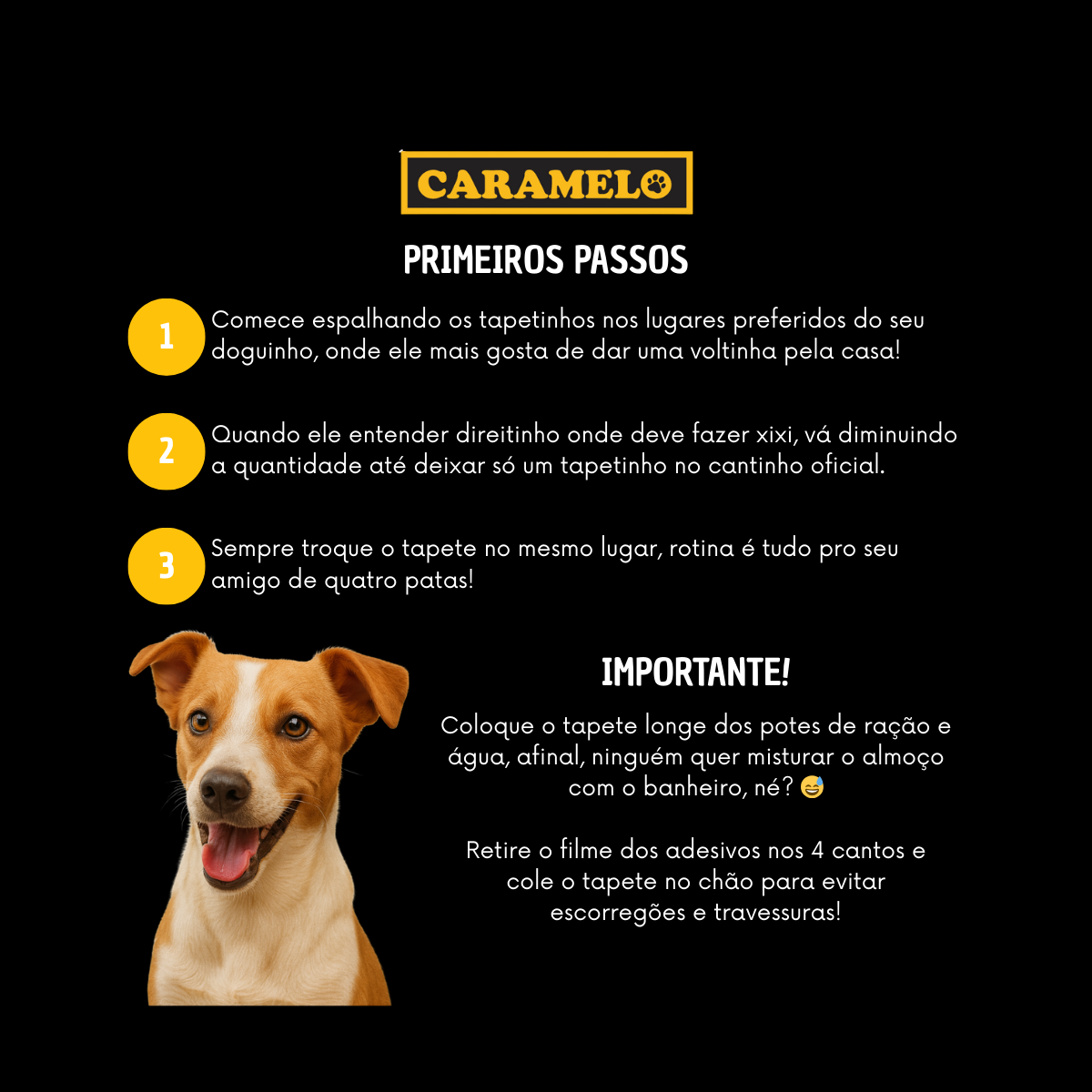 Tapete Higiênico Caramelo Para Cães Com Carvão Ativado 60x60 - 50 Unidades