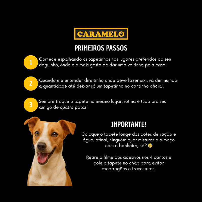 Tapete Higiênico Caramelo Para Cães Com Carvão Ativado 80x60cm - 30 Unidades
