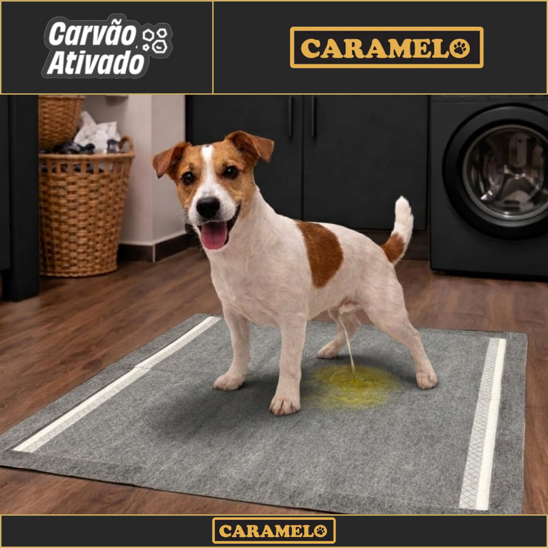 Tapetes Higiênicos Super Premium Com Carvão Ativado 80x60 30 unidades - Black - Anti Odor - Caramelo