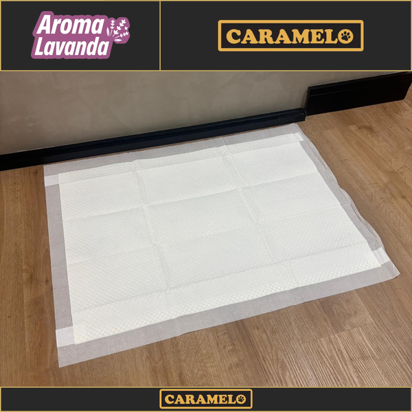 Tapete Higiênico Lavanda - 60x60 - 50 unidades - Antiodor Antivazamento | Caramelo