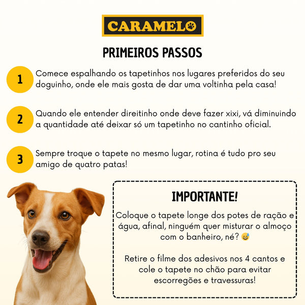 Tapete Higiênico Caramelo Para Cães Tradicional Premium 60x60 - 50 Unidades