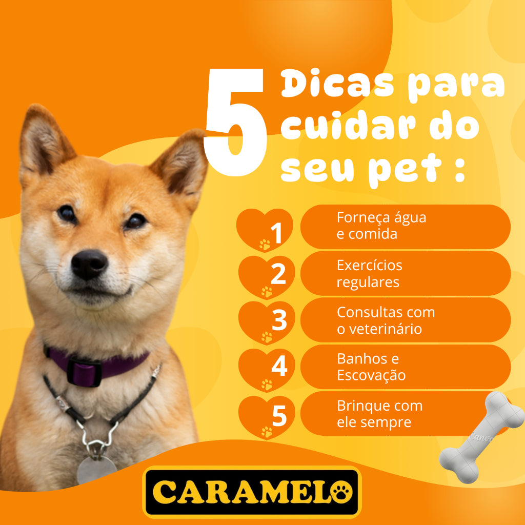 Tapete Higiênico 90 unidades 80x60cm Premium Para Cães - Caramelo