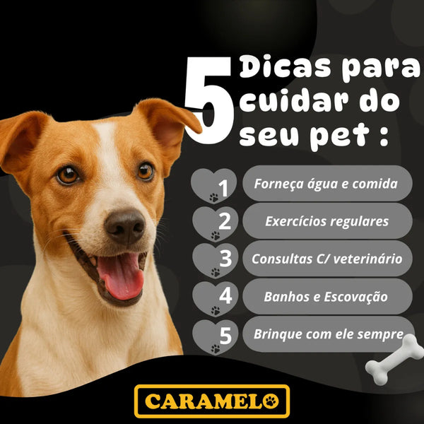 Tapetes Higiênicos Com Carvão Ativado 60 unidades Tamanho 80x60 para Cachorros - Caramelo